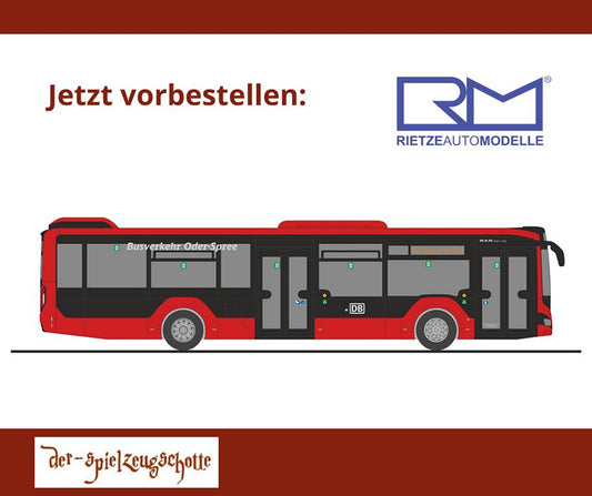 MAN Lions City 12 DB Busverkehr Oder-Spree - Rietze 75382